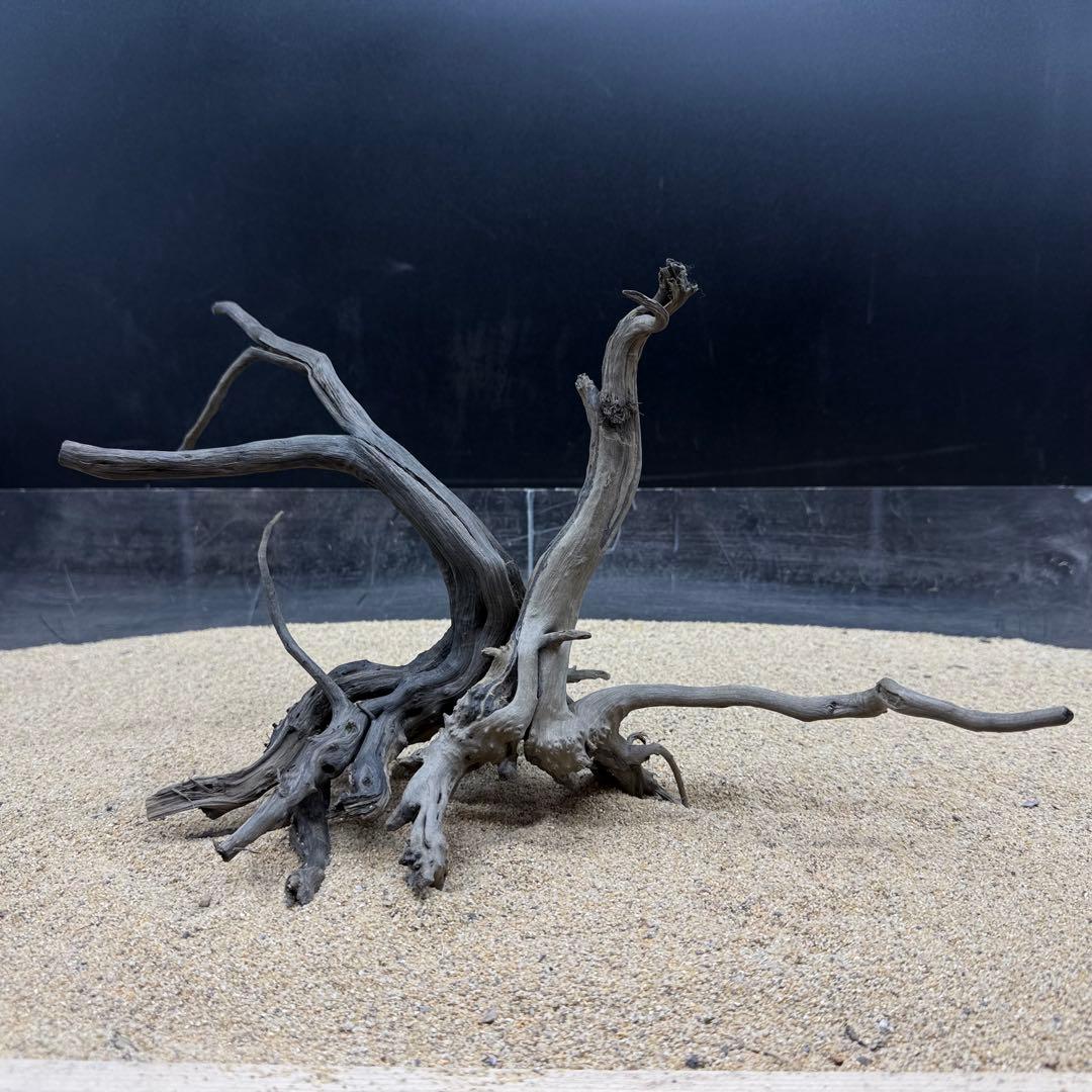 MDW-7246 ブランチウッド(ブラック)2本セット 枝流木 アクアリウム