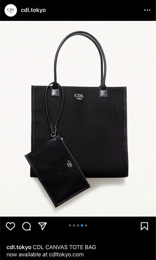 CDL TOKYO travel bag トラベルバッグ登坂広臣OMI