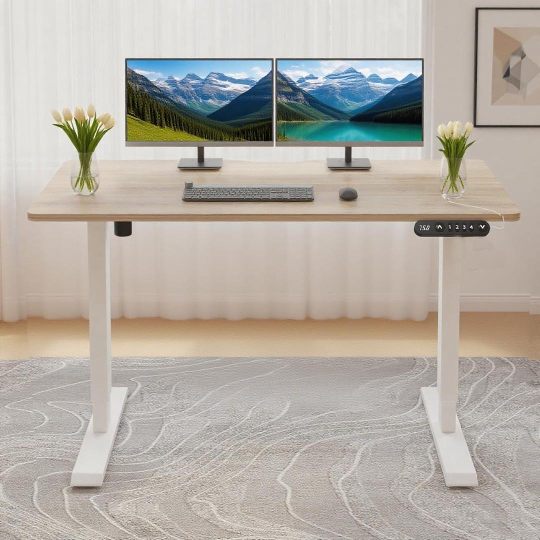 Radlove デスク 昇降式 パソコンデスク ゲーミングデスク