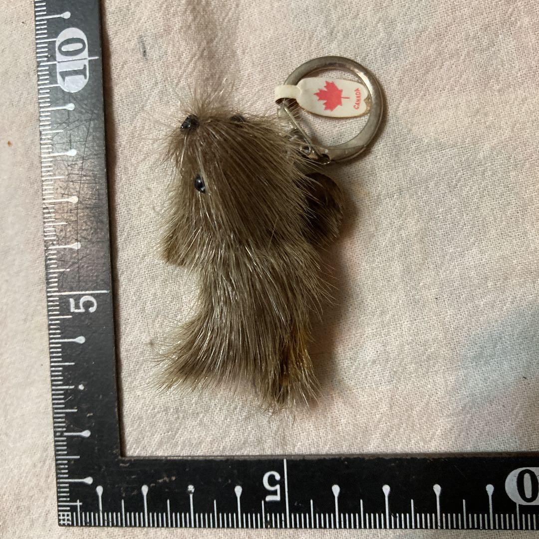 カナダ❤️4点セット　新品未使用　ワッペン&タグ&ファスナー&アザラシキーホルダー