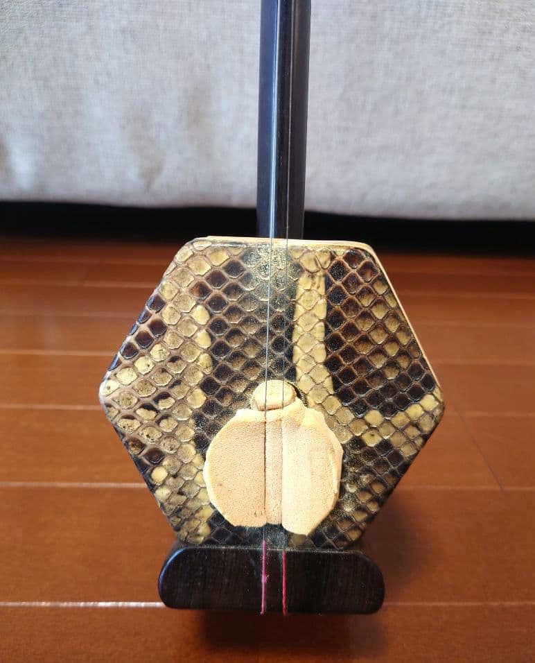 二胡　中国伝統弦楽器　ケース付き