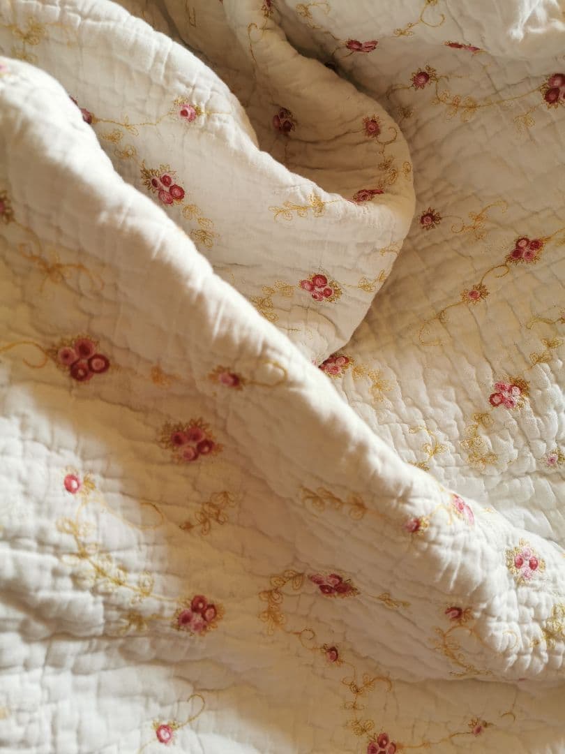 ヴィンテージ フランス/イギリス プチローズ刺繍 スカラップリム