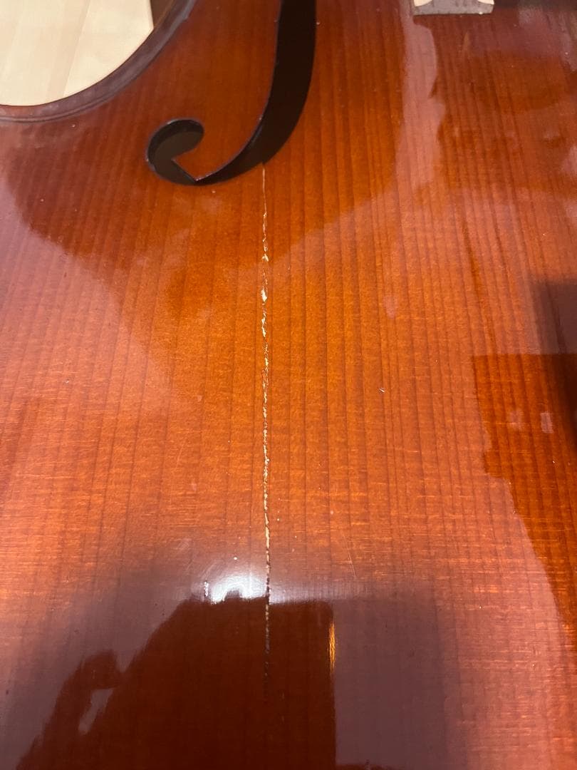 【破損あり】Gliga Genial チェロ 4/4サイズ