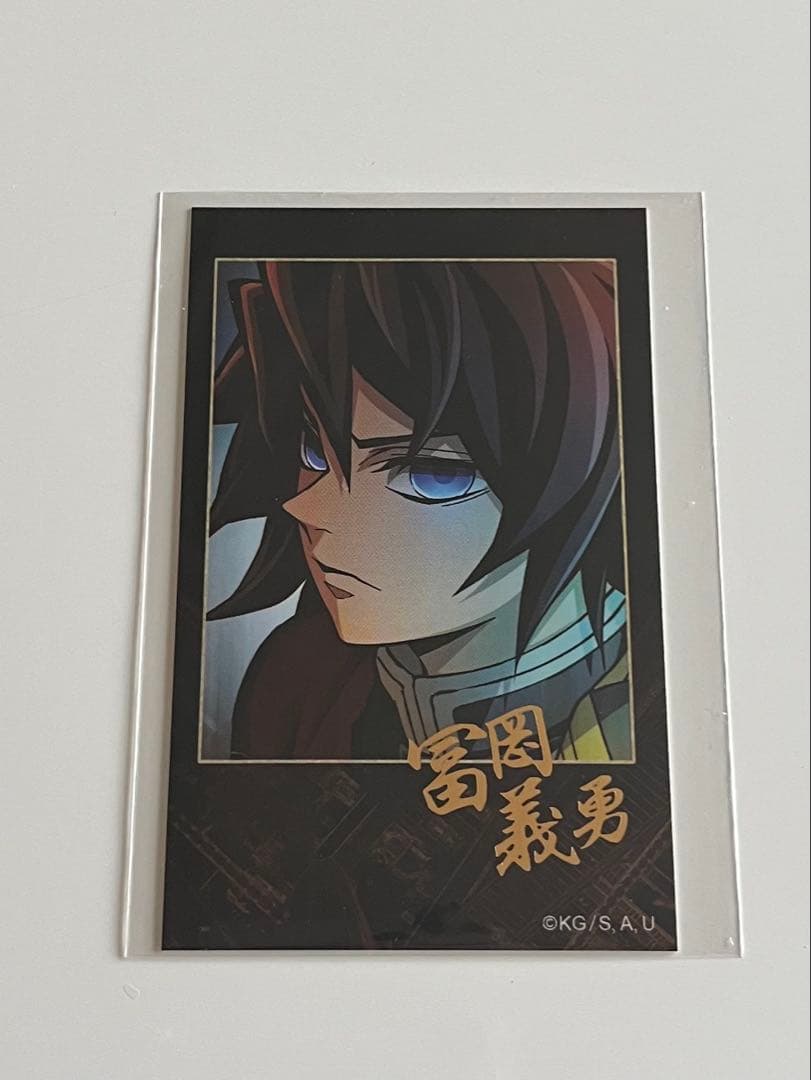 鬼滅の刃 無限城編 ティザービジュアル 冨岡義勇 チェキ風ブロマイド