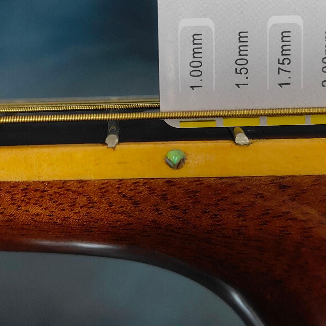 豪華アバロン！オールコア単板 アコースティックギター 龍インレイ