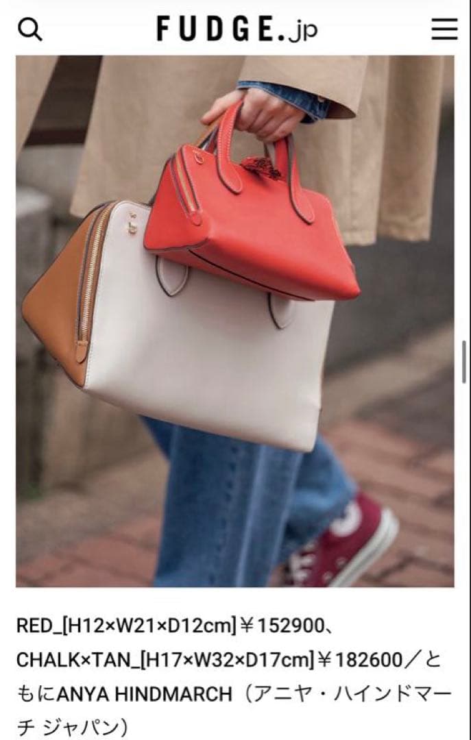 ANYA HINDMARCH Wedge：ウェッジ 三角形のバッグ