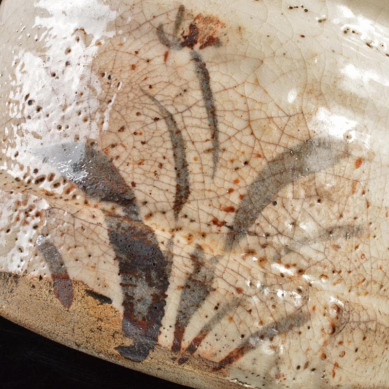 茶道具 志野焼 絵志野 鉄絵 花草文 水指 時代箱付 V R6156B