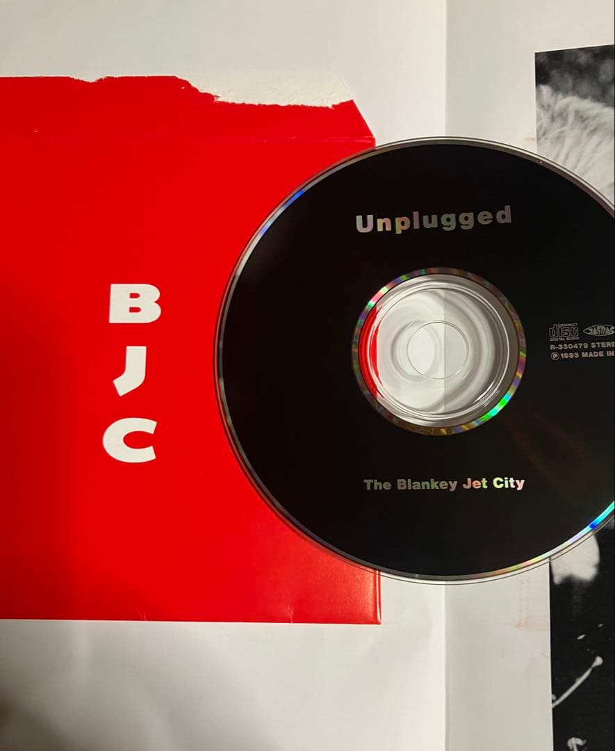 ブランキージェットシティ 写真集 CD付き 浅井健一