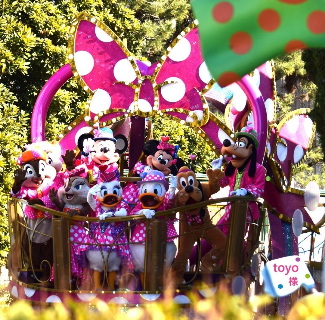 専用 近沢レース・タマちゃん＆ディズニーリゾートポストカード