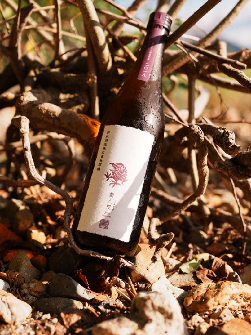 新政 新政酒造 紫八咫 日本酒720ml