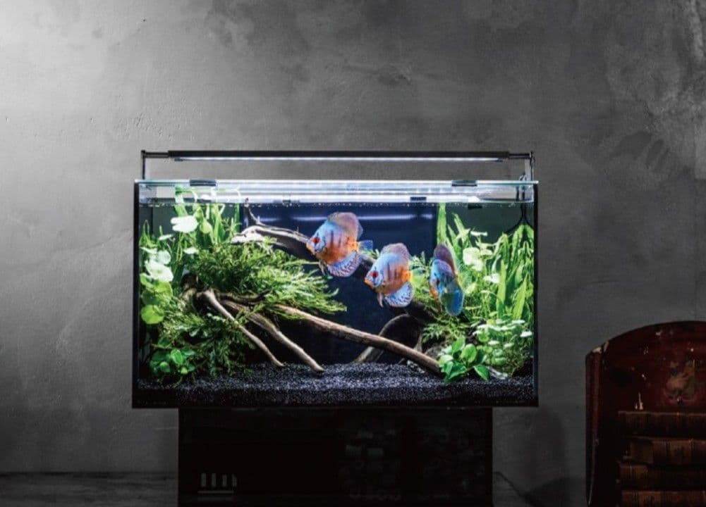 Glassteria AGS white / ジェックス株式会社 | GOOD AQUARIUM Design