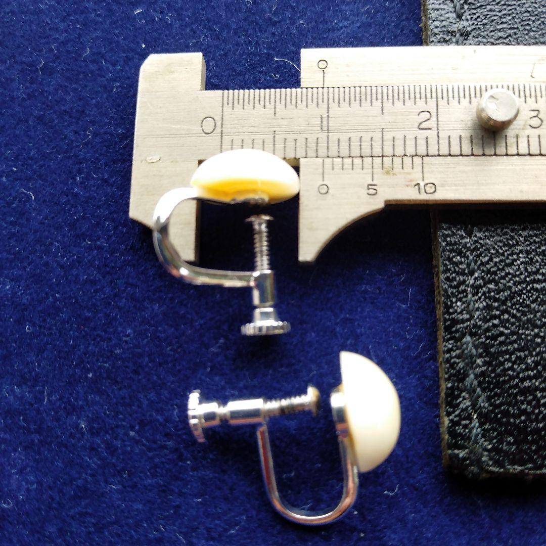 鯨歯 マッコウクジラ イヤリング＆ピアス - メルカリ