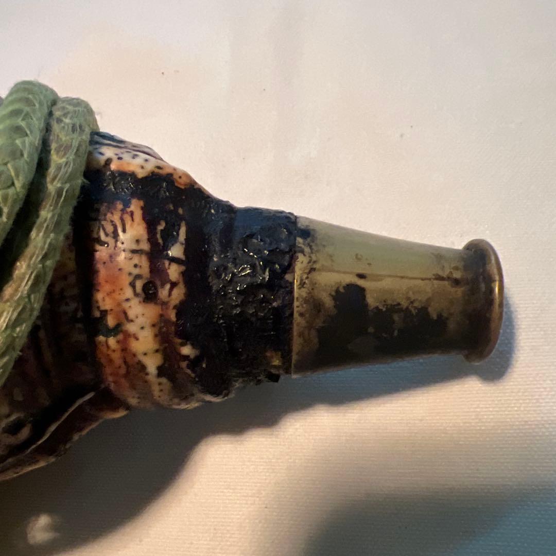 法螺貝 自然な巻貝装飾品 約34cm