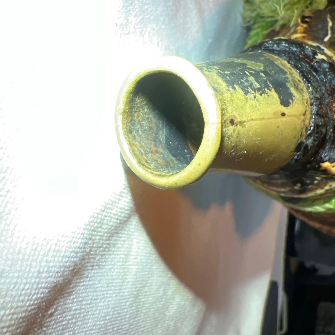 法螺貝 自然な巻貝装飾品 約34cm