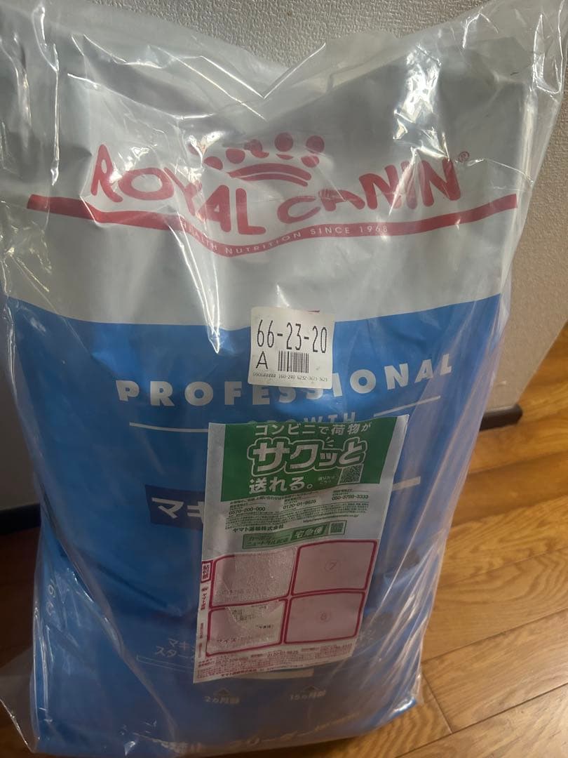 犬餌 ドックフード