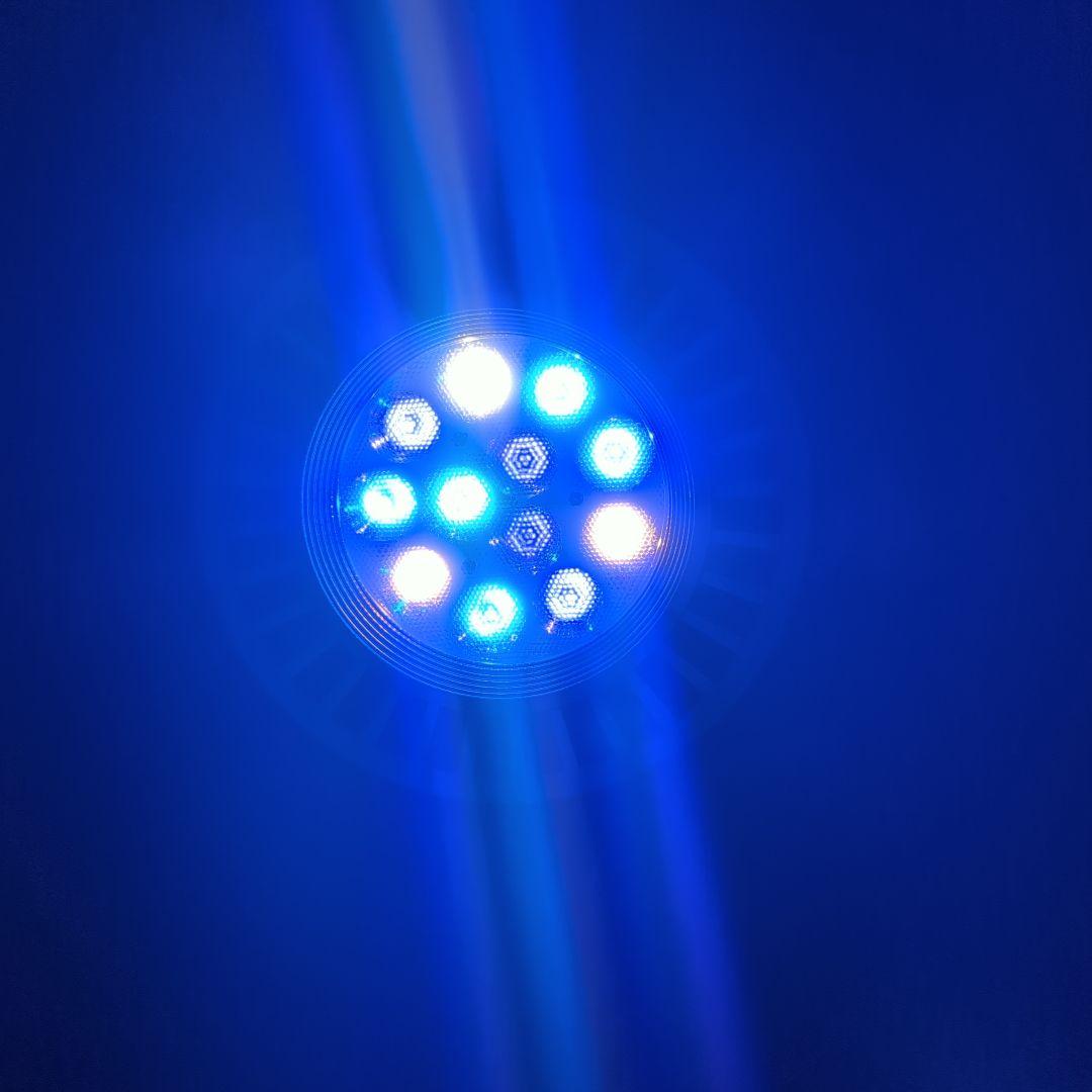 グラッシーレディオRX122リーフ フルセット