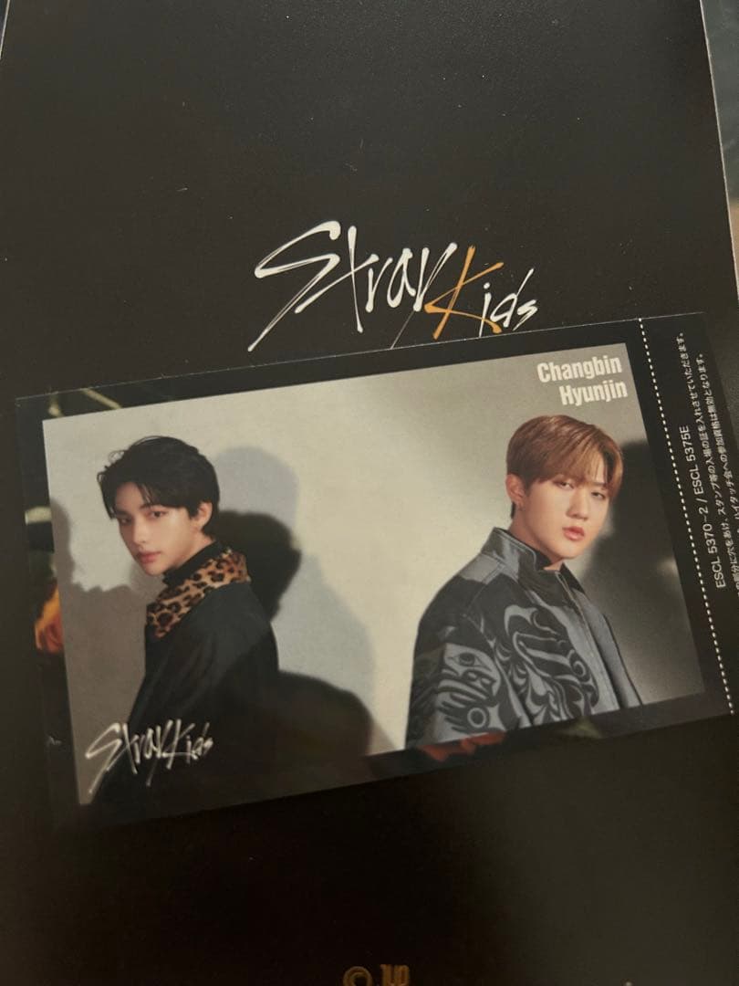 StrayKids スキズ ハイタッチ券 ヒョンジン チャンビン ユニット