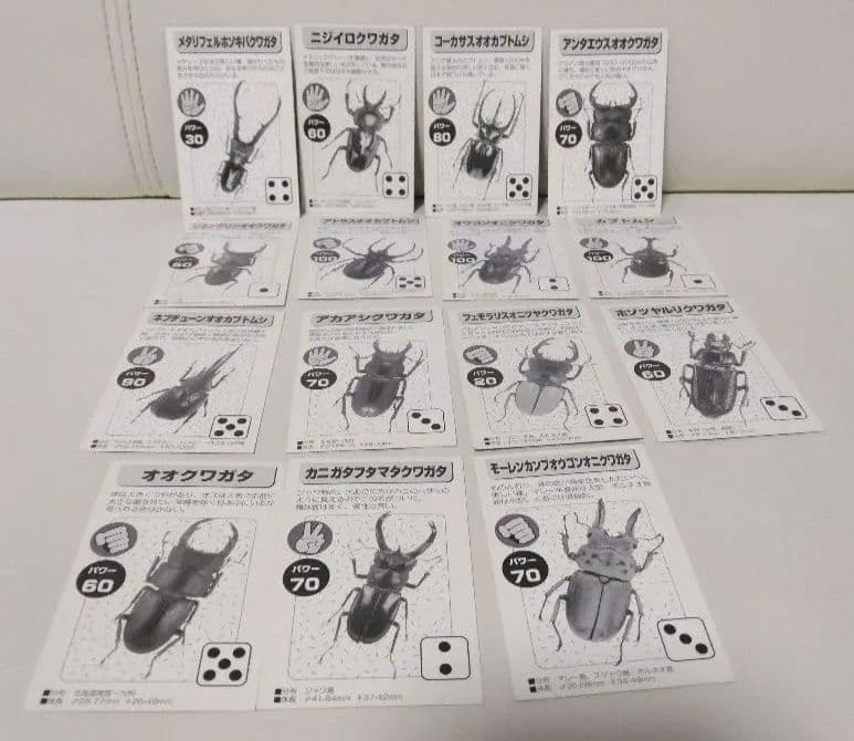 昆虫トレーディングカード 15枚セット