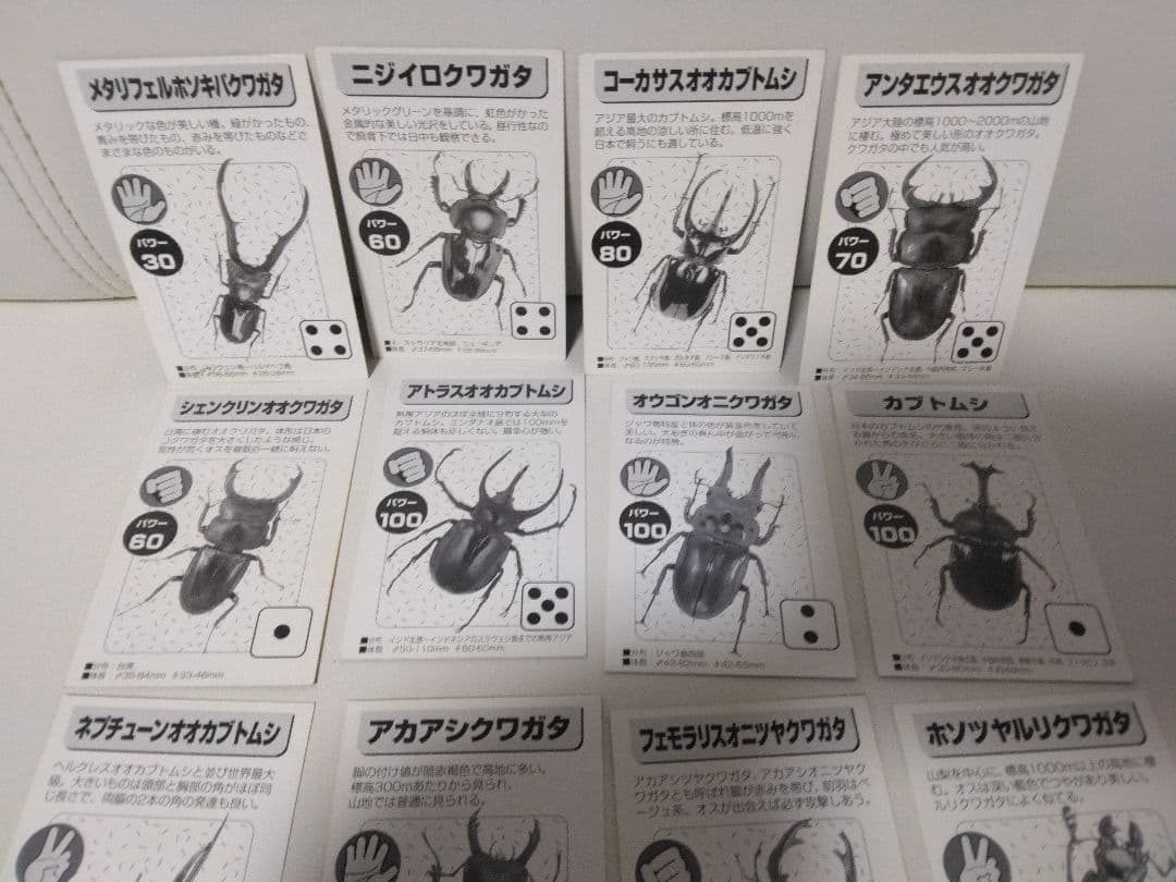 昆虫トレーディングカード 15枚セット