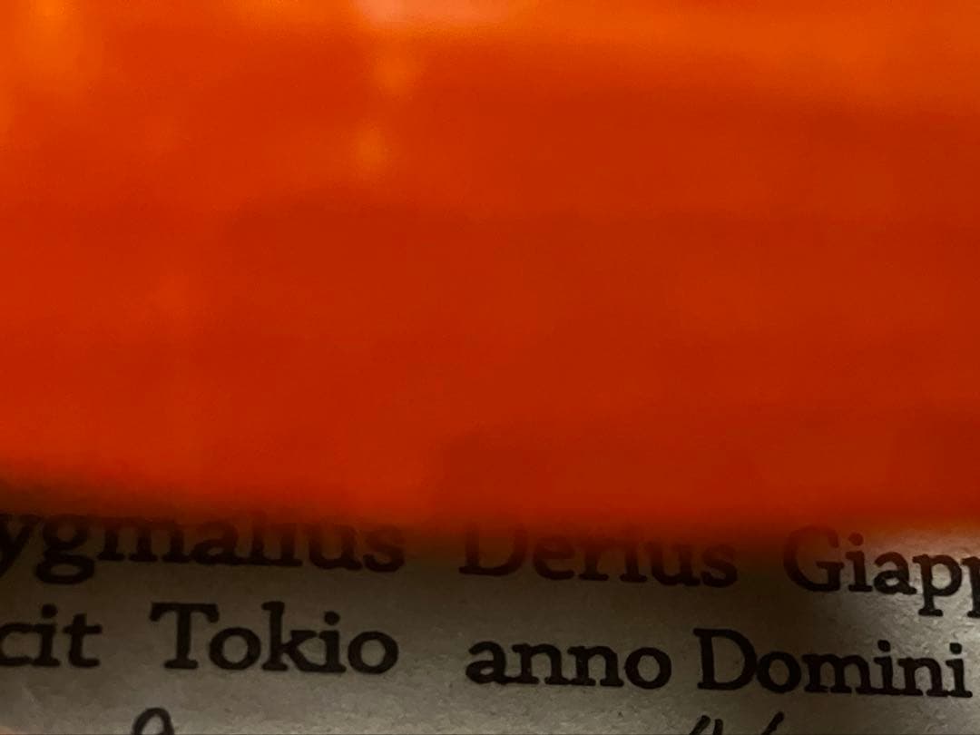 20年以上前 ピグマリウス 4/4 バイオリン 本体とケース