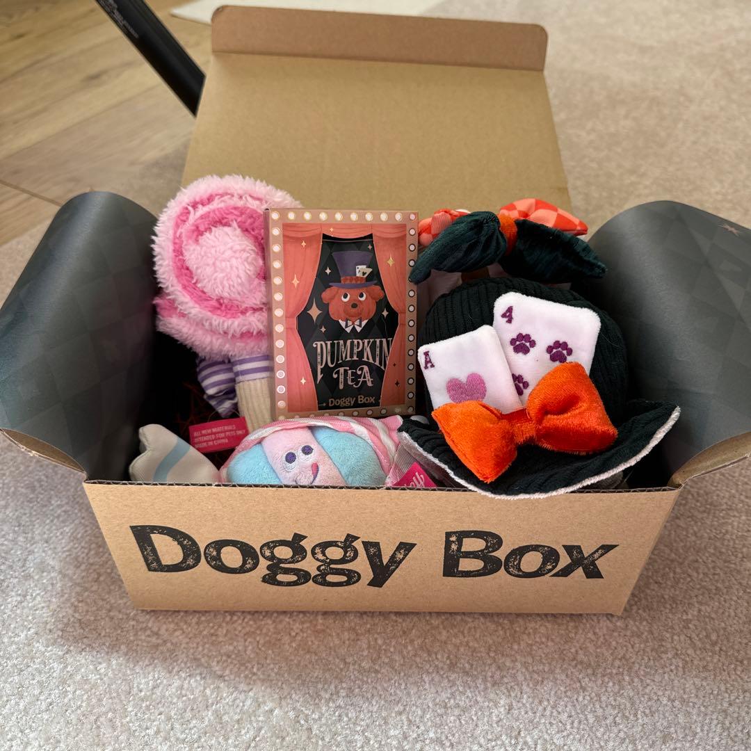ドギーボックス Doggybox 小型犬用 ペットおもちゃ - メルカリ