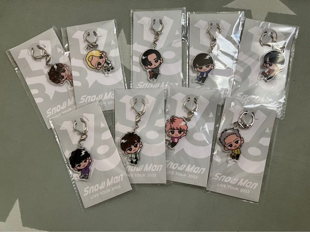 松田聖子 コンサート ライブ グッズ 似顔絵 パスケース チケット入れ