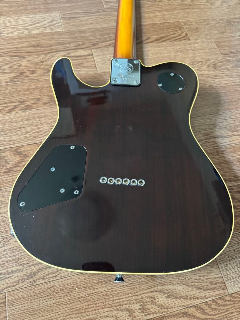 Valley Arts m Series Deluxe TLタイプ