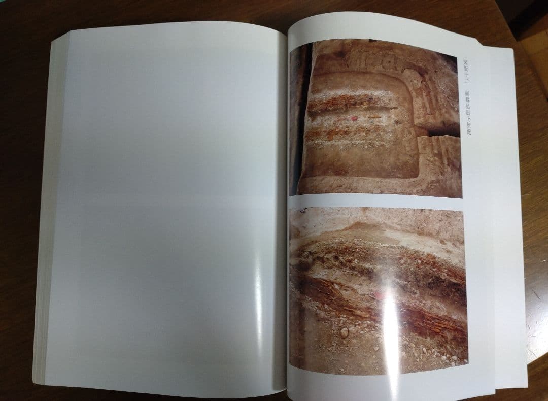 庭鳥塚古墳発掘調査報告書』（羽曳野市の前期古墳の調査）