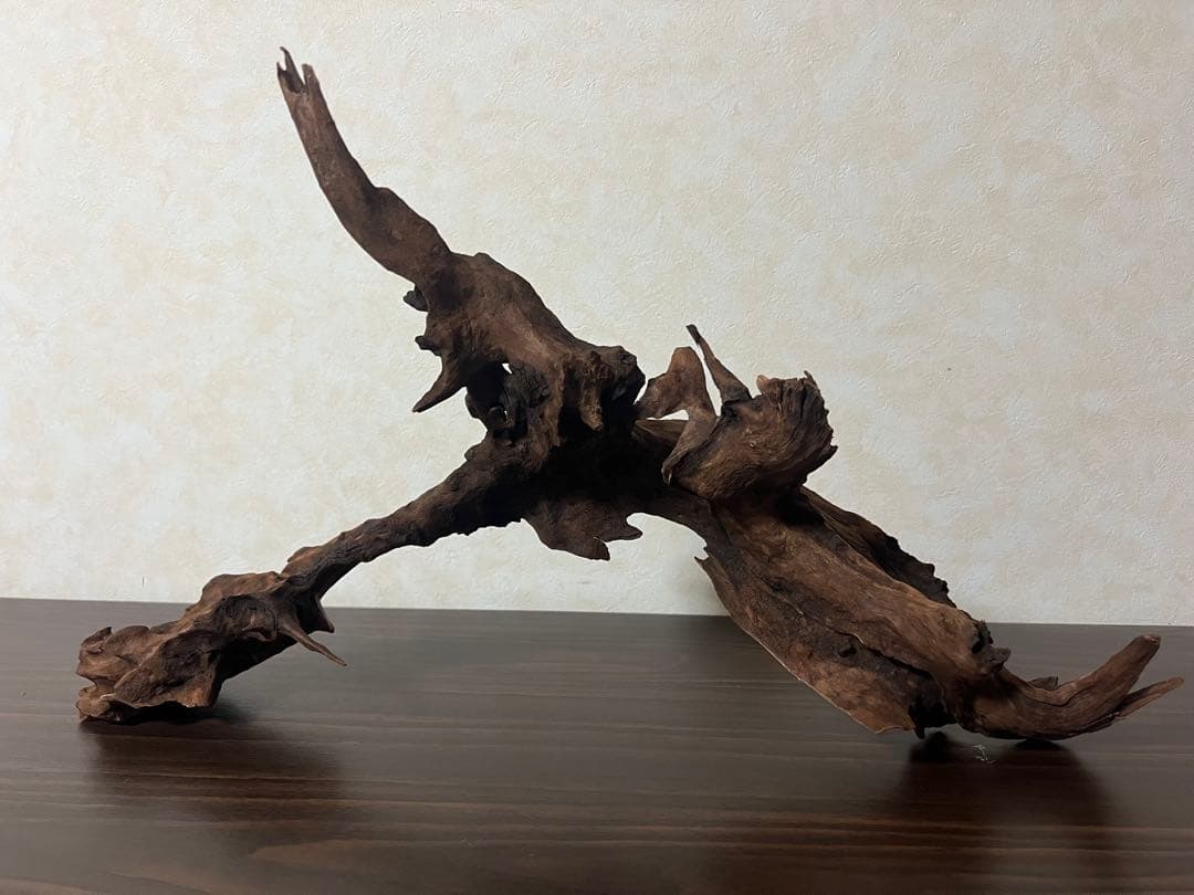 HX-057流木 マシンガンウッド ホーンウッド アクアリウム ブランチウッド