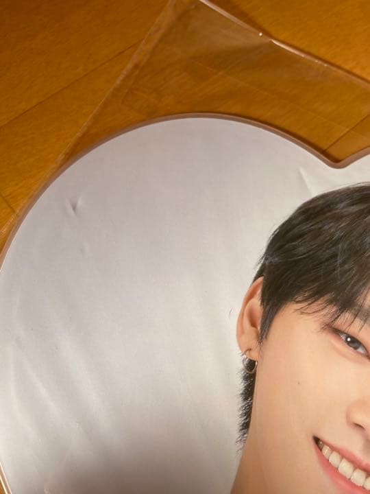 SEVENTEEN セブチ ディノ うちわセット