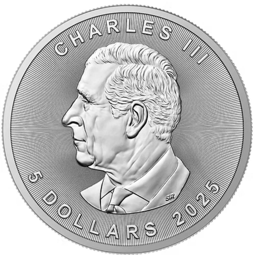 メイプルリーフ 銀貨 カラー ギリシャ神話 ジェミニ 石化兄弟 1オンス