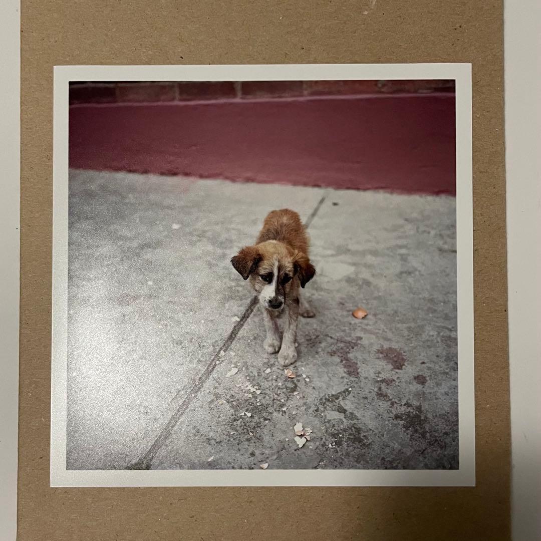 アレック・ソス プリント 直筆サイン入り Alec Soth 写真集セット 一部サイン入り アレック・ソス プリント 直筆