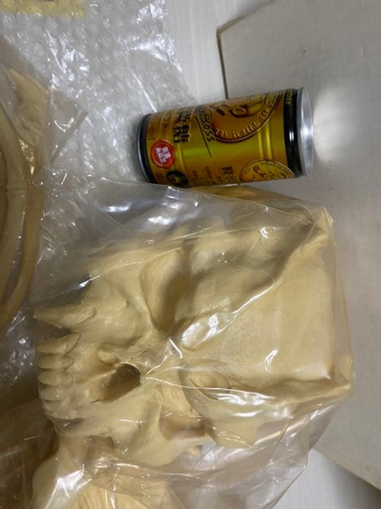 今も人気。 デビルマン フューチャーモデル.スカルヘッド