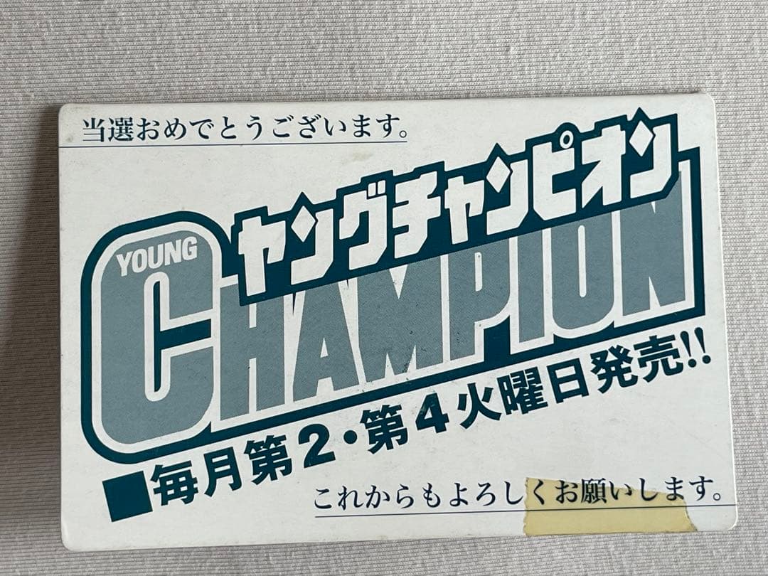 山本彩　直筆サイン入りチェキ　写真　水着　 当選品　抽プレ NMB48