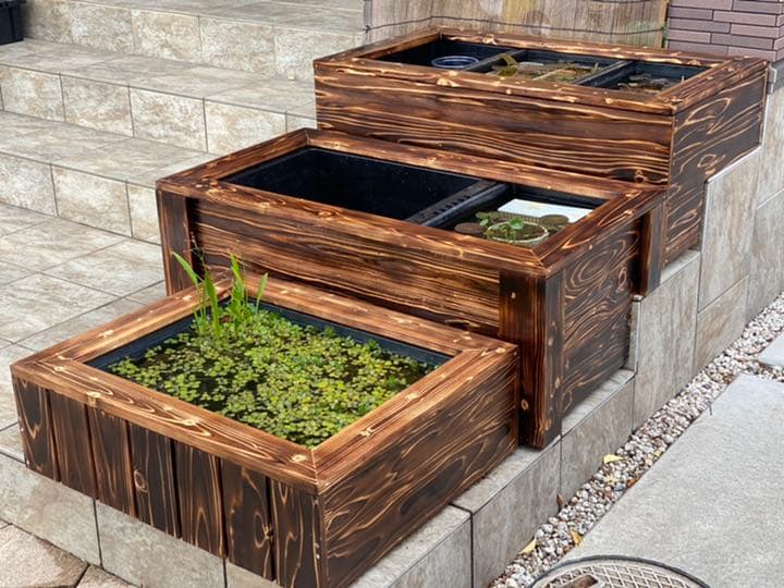 60)トロ舟 40L+木枠 セット ビオトープ メダカ りんご様オーダー品