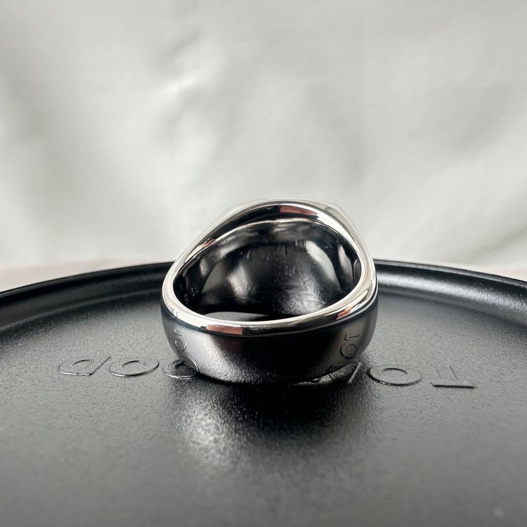 【極美品・定価8.45万円・g58(18)】 Cushion Larvikite