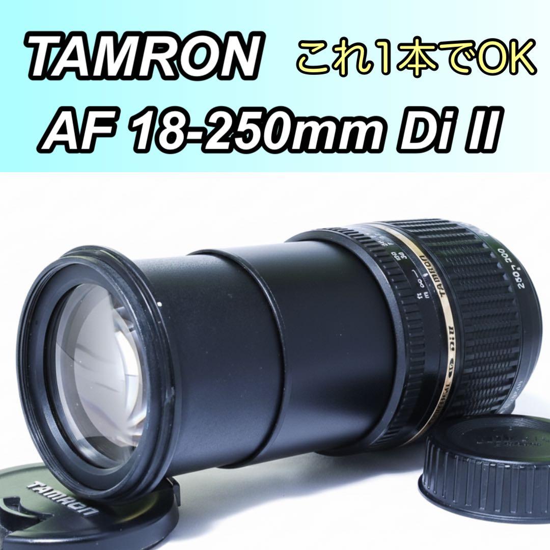 万能レンズ✨TAMRON AF 18-250mm f3.5-6.3 Nikon - メルカリ