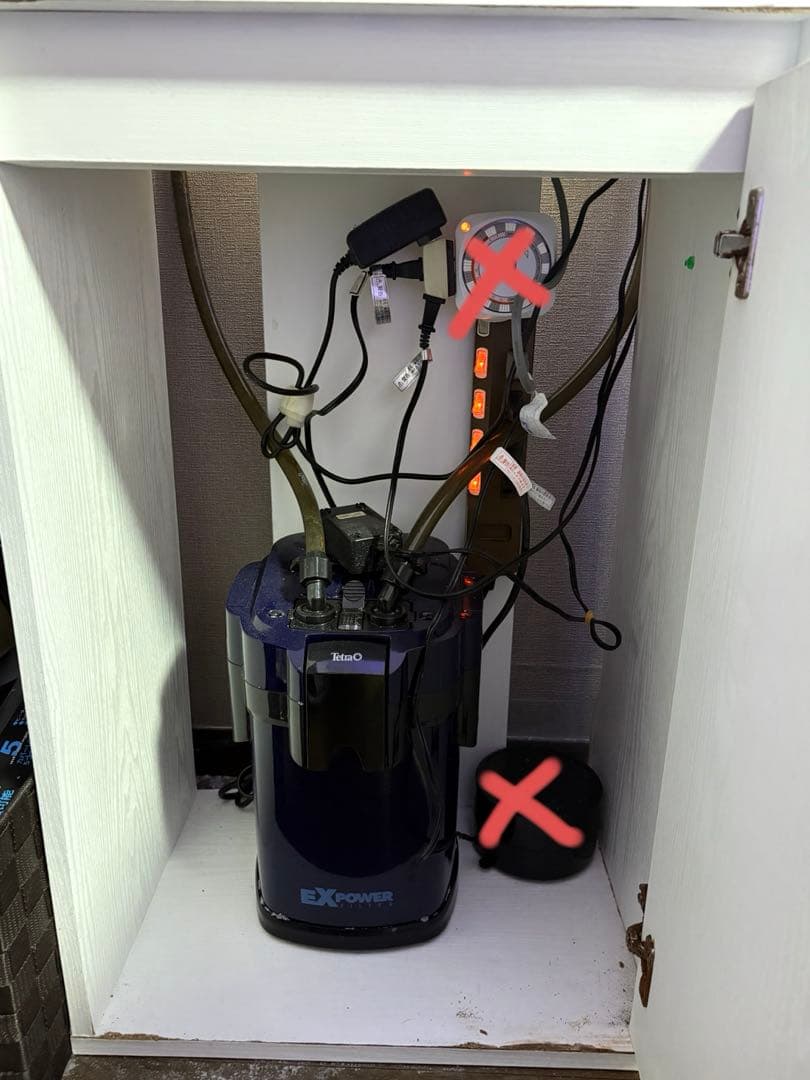 45cm海水水槽セット 生体付き 引き取り限定 値引き交渉可