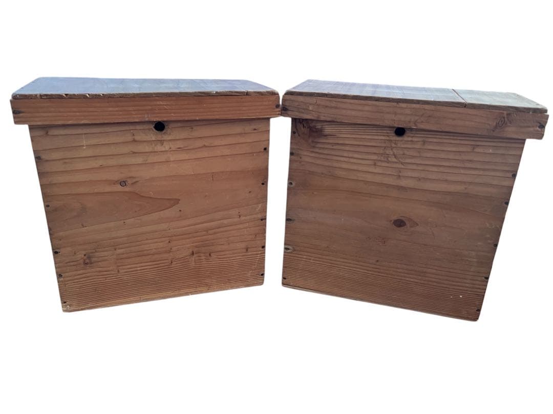 骨董 武家提灯 家紋 古い和紙提灯 大村 二号、大村三号 提灯2個 - メルカリ