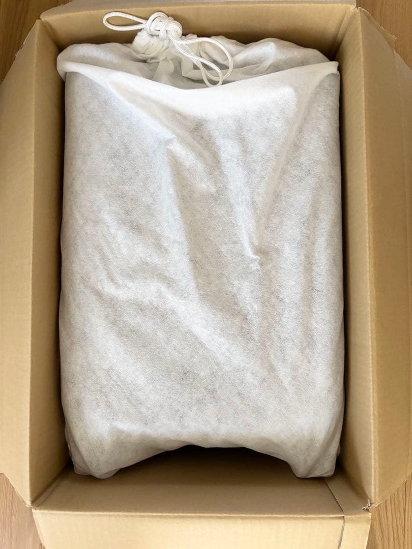 美品＆匿名配送】エース キャリーケース カバー袋、説明書付き 機内