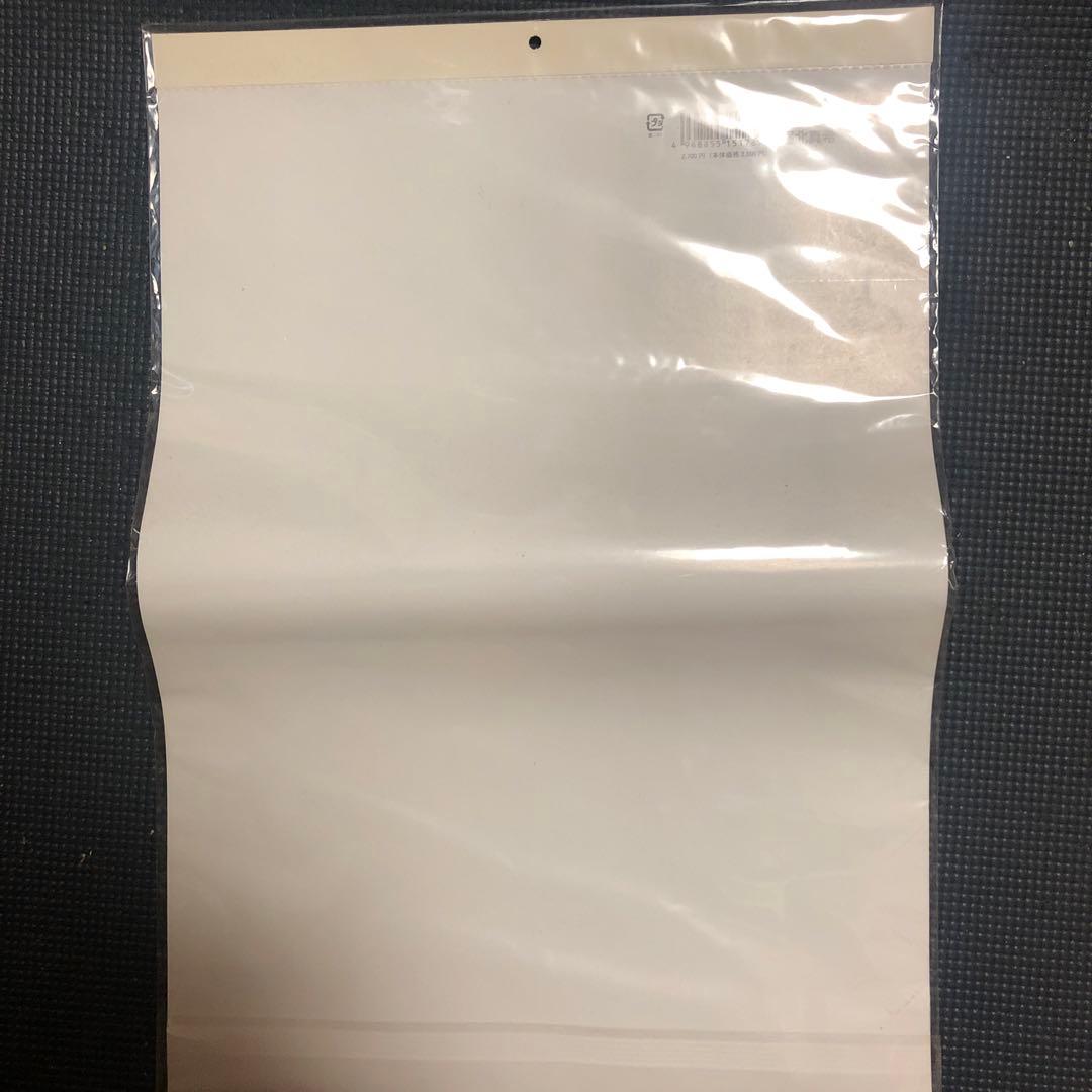 堀北真希　カレンダー 2015