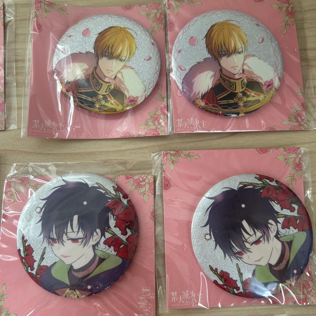 【値下げ】　中国公式グッズ21点セット　ある日、お姫様になってしまった件について