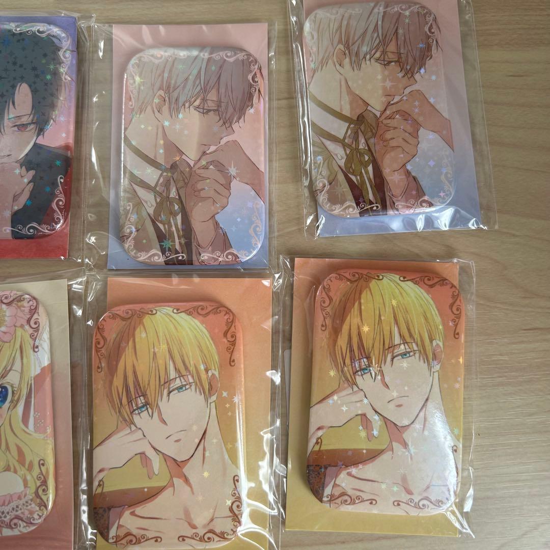 【値下げ】　中国公式グッズ21点セット　ある日、お姫様になってしまった件について