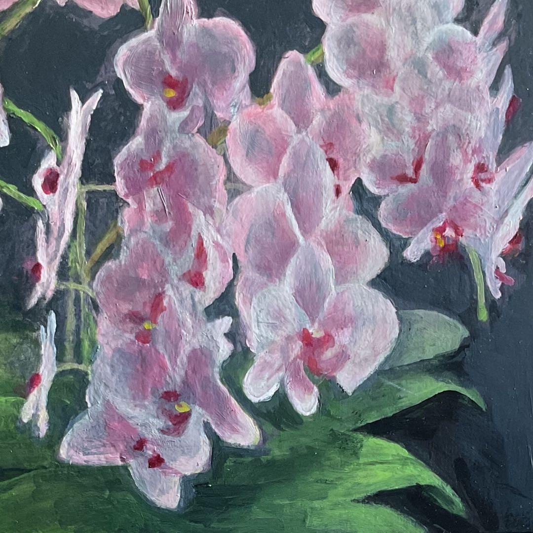 油彩画　「　胡蝶蘭　」　原画　　F8号　額付