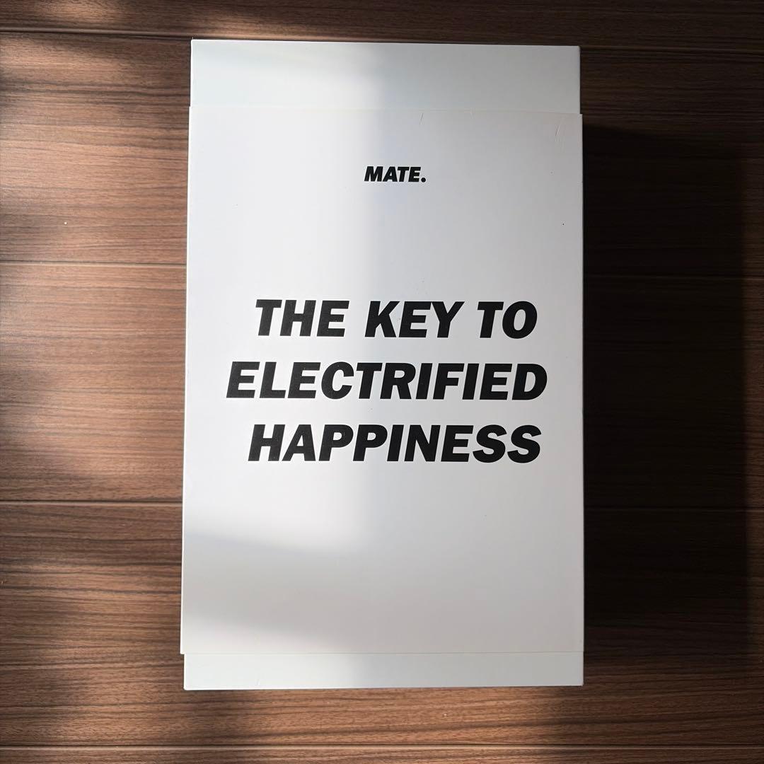 Daikon　MATEX電動アシスト自転車折りたたみ式ファットバイク黒