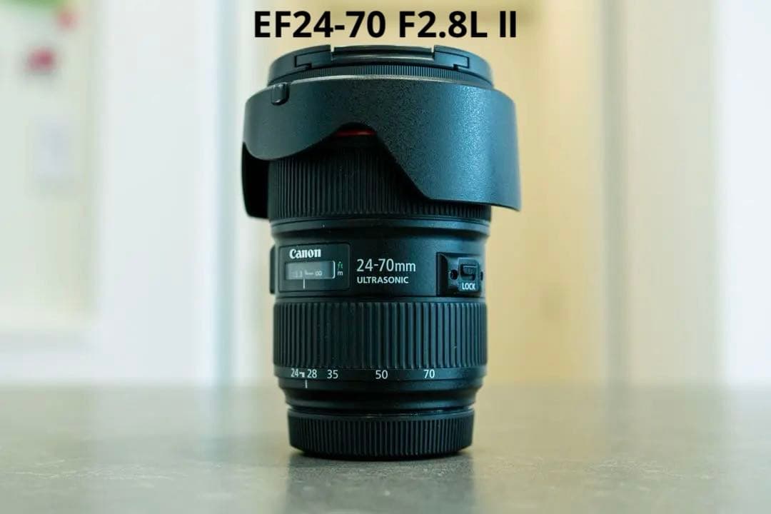 望遠レンズ/デジタル一眼レフ/Canon EF75-300 F4-5.6 II EF75-300mm f