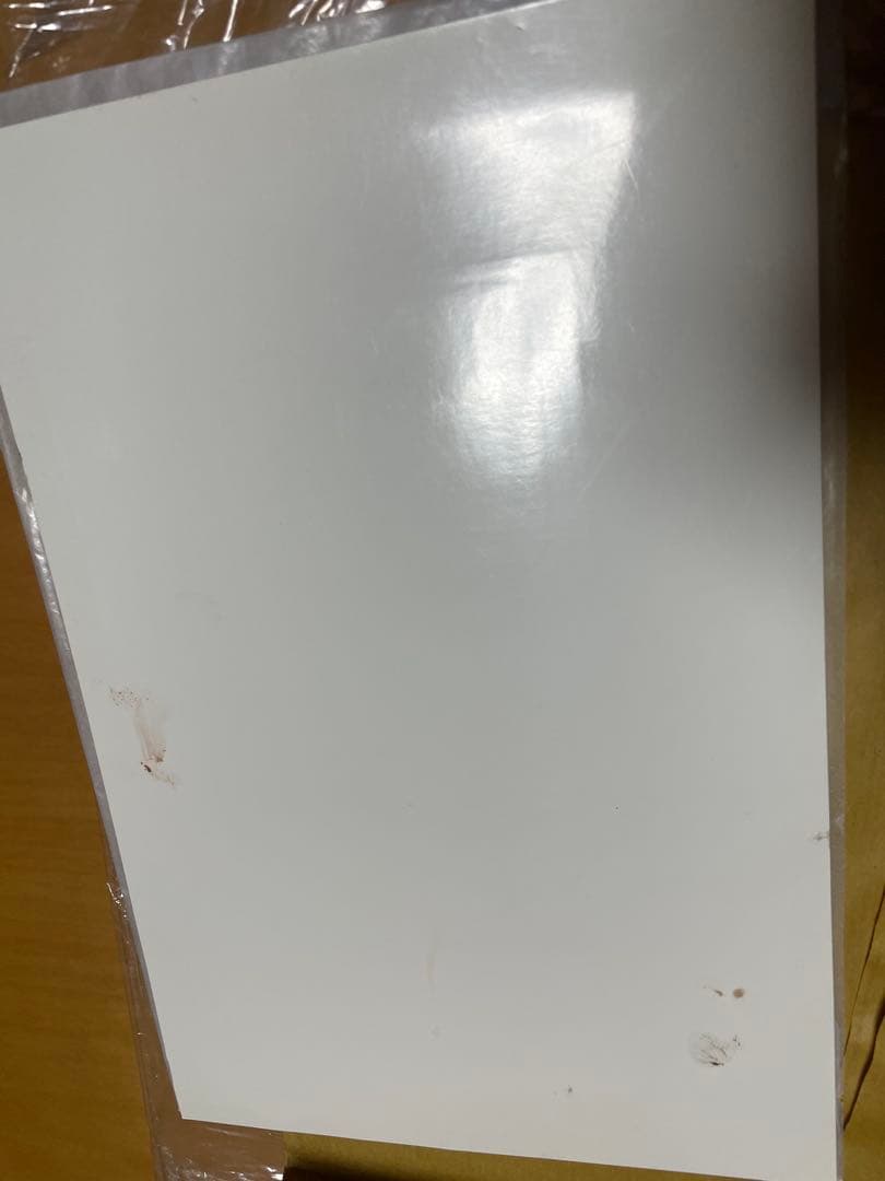 ポンペイ 壁画 複製