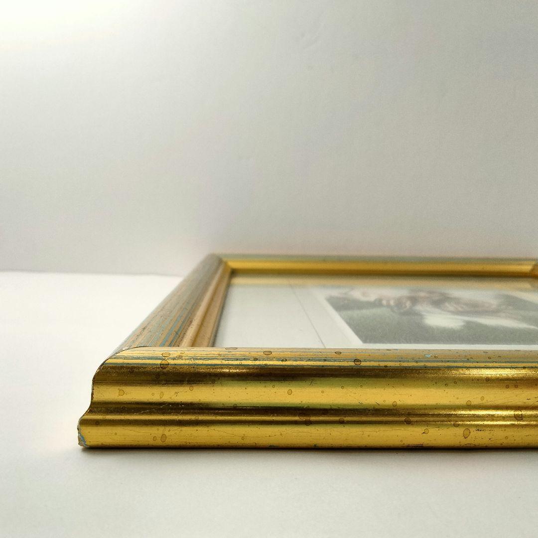 F203 D.M.HINCHLIFFE ヒンチリフ リトグラフ 600部限定 額