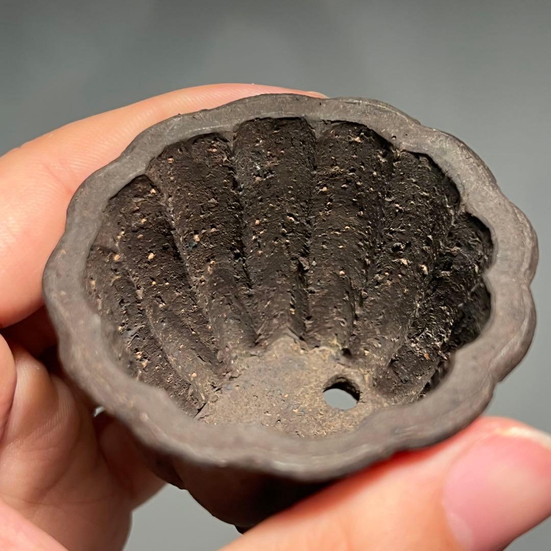 707.夢陶 紫泥輪花鉢 盆栽鉢 植木鉢 6.3*4.9cm