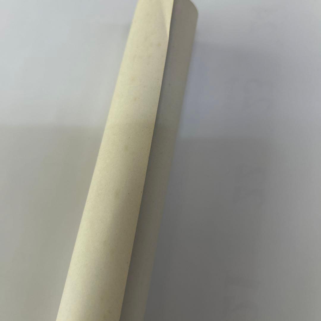 globe ポスター 非売品 ポスター TDK 小室哲哉 KCO マークパンサー